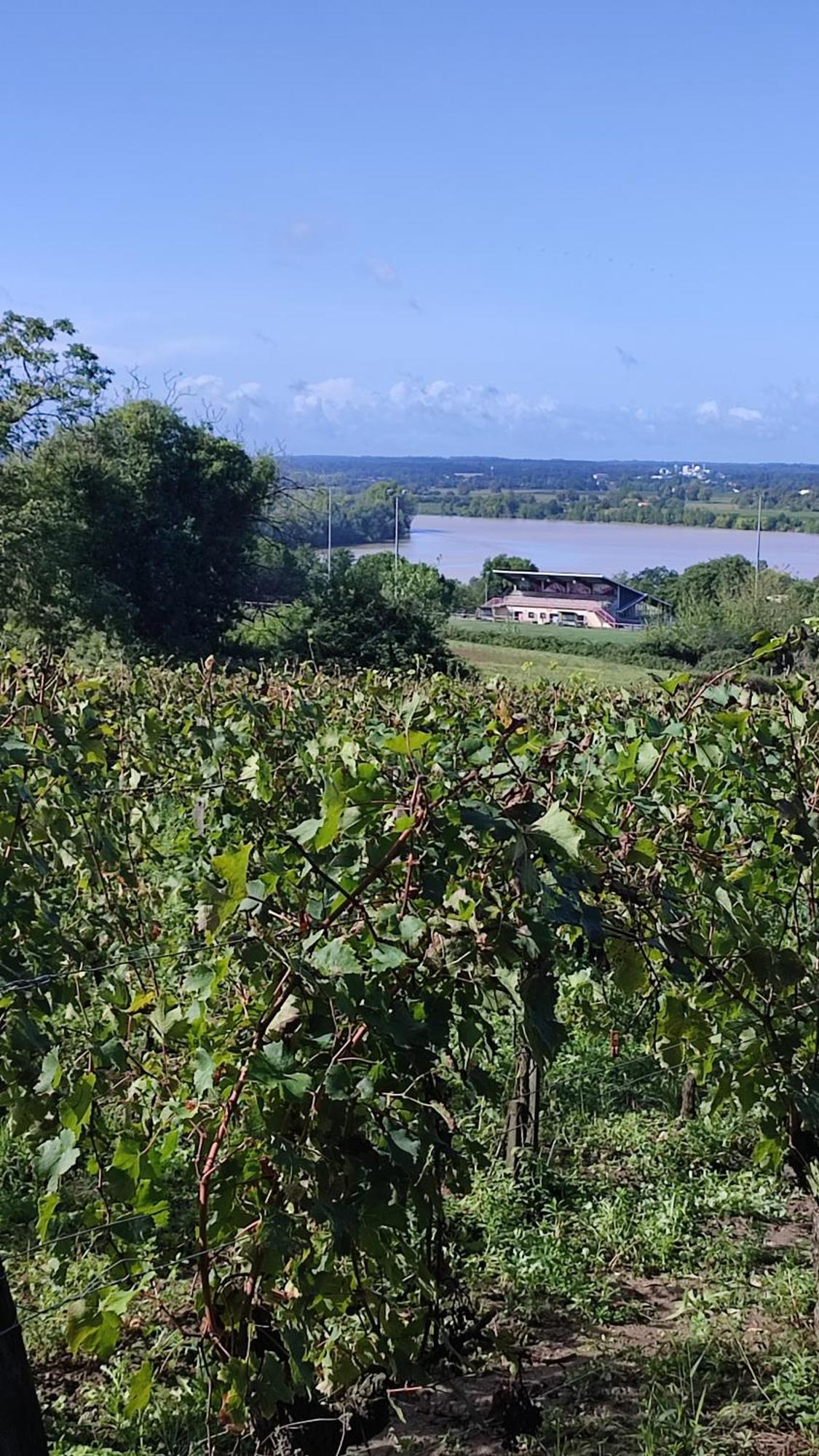 Maison Charmeilles - La Suite Pomerol Fronsac  Exterior photo