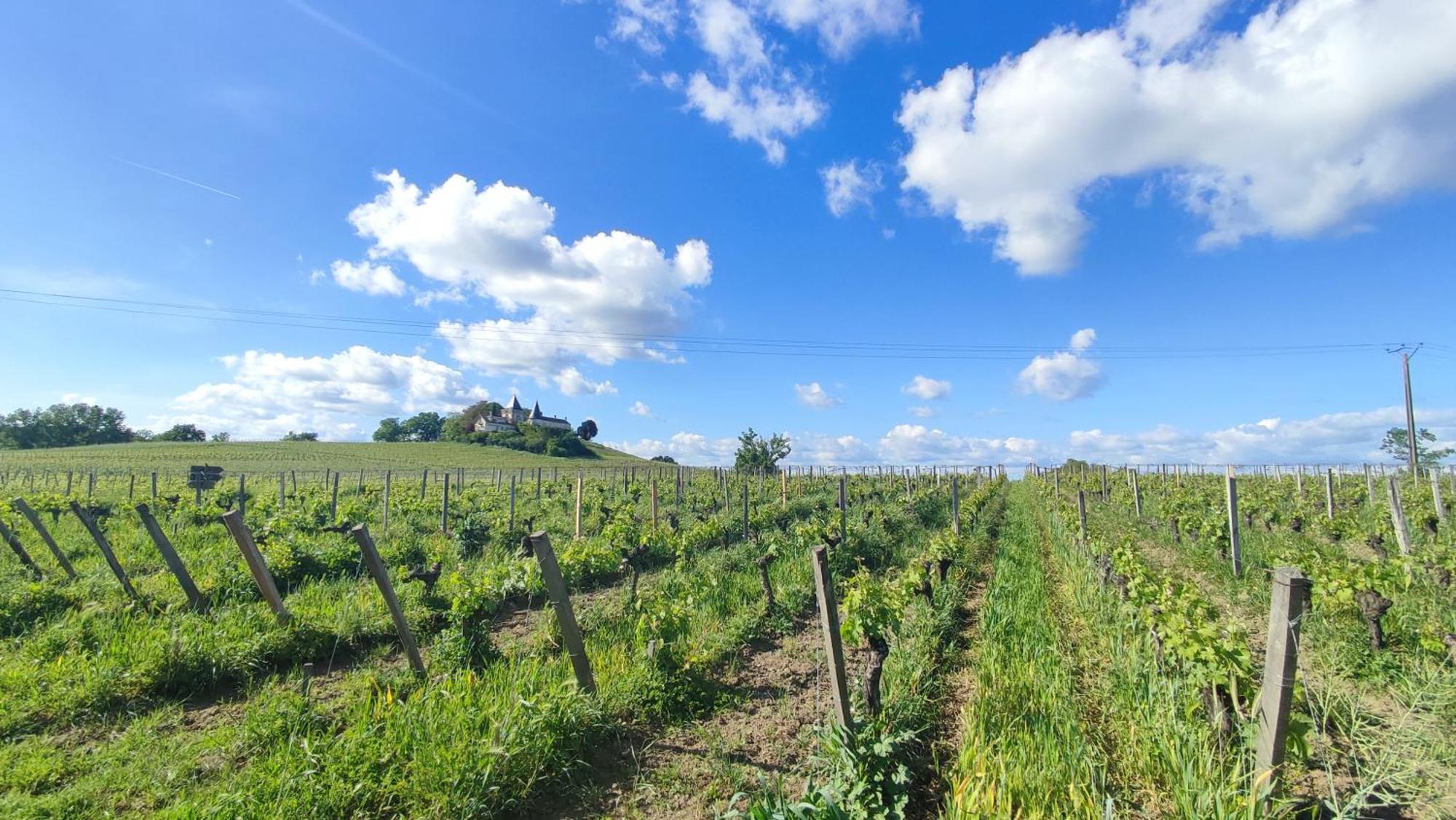Maison Charmeilles - La Suite Pomerol Fronsac  Exterior photo
